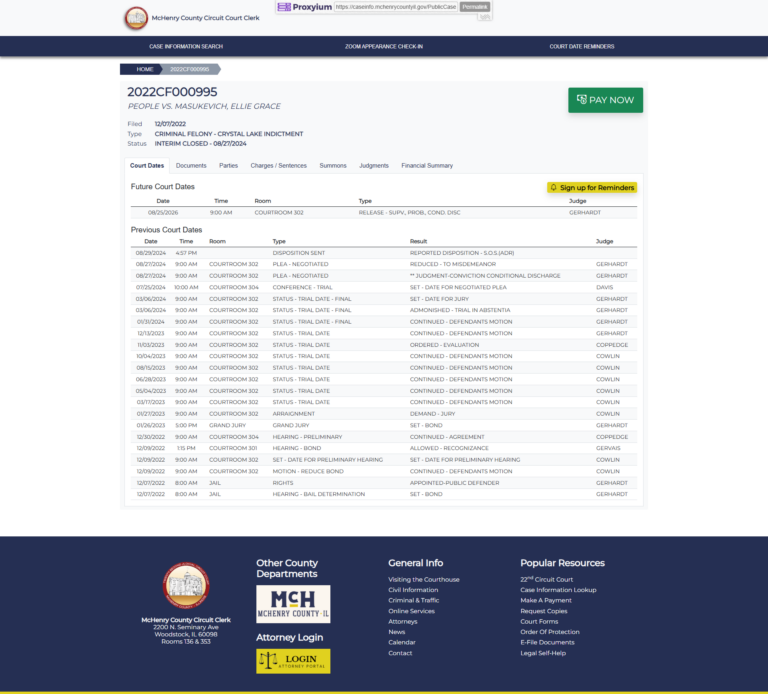 court case information, public case access
