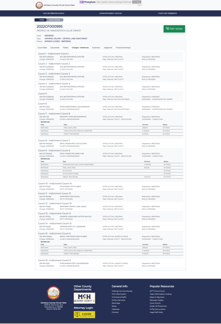 court case information, public case access